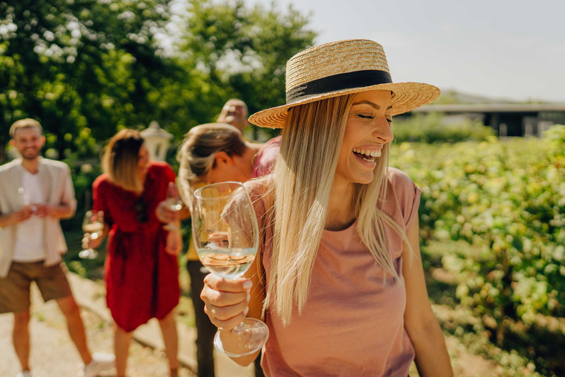 Wine tasting on a guided tour