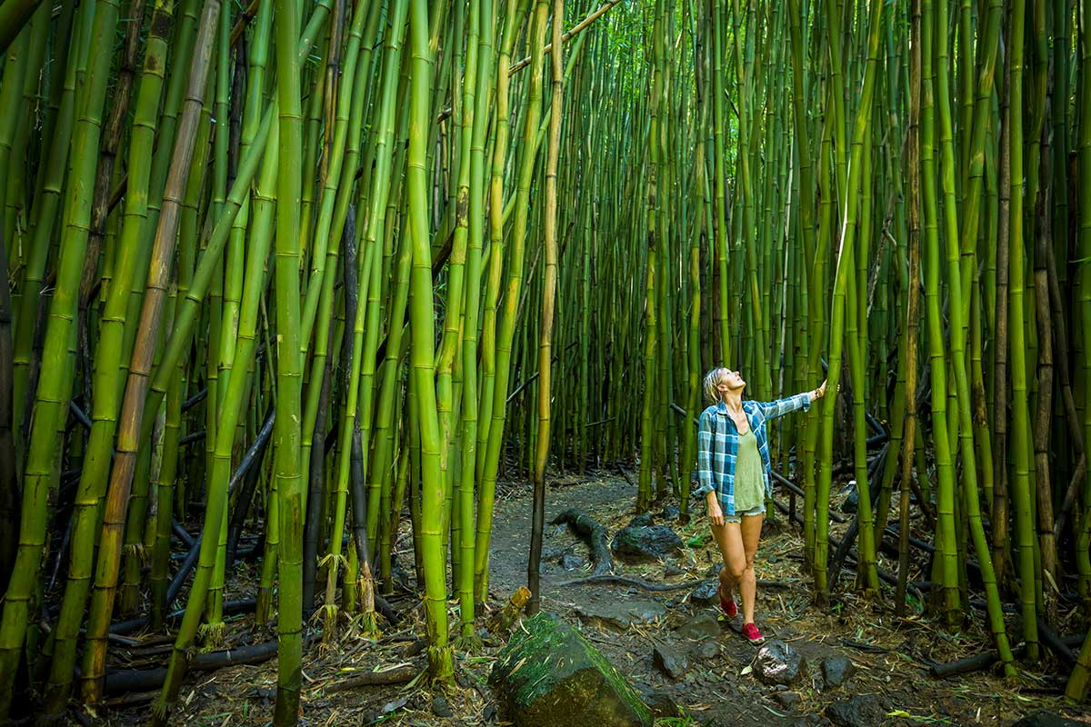 Hawaii holidays from Australia — palm-lined Waikiki Beach below Diamond Head