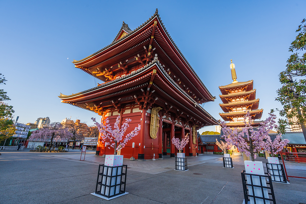 Golden Route of Japan tour — Kyoto, Mt Fuji, Tokyo