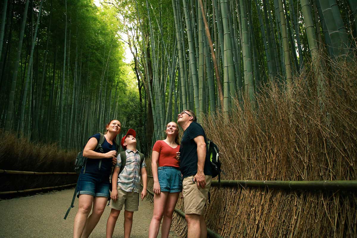 Japan family holiday — Tokyo Disneyland and cherry blossoms