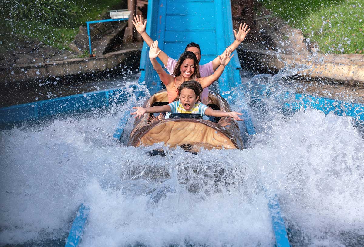 Family theme park holiday — children enjoying the rides