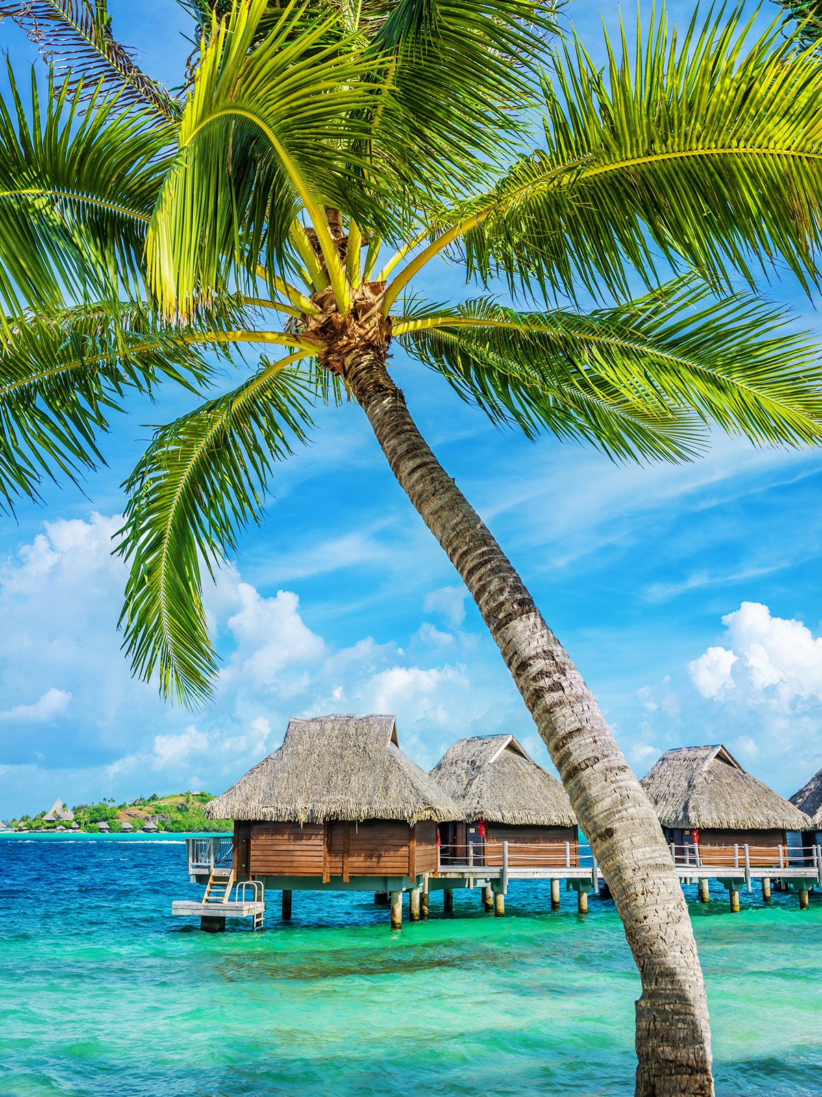 Bora Bora honeymoon — overwater bungalows